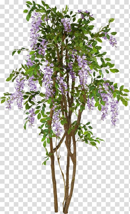 Twig Shrub Tree, tree transparent background PNG clipart