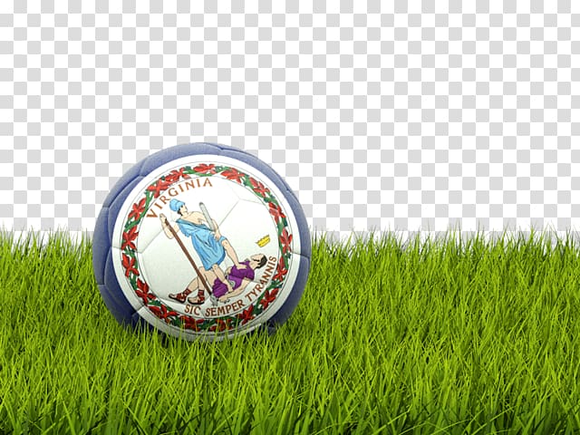 Portugal national football team England national football team World Cup Iceland national football team, commonwealth of virginia transparent background PNG clipart