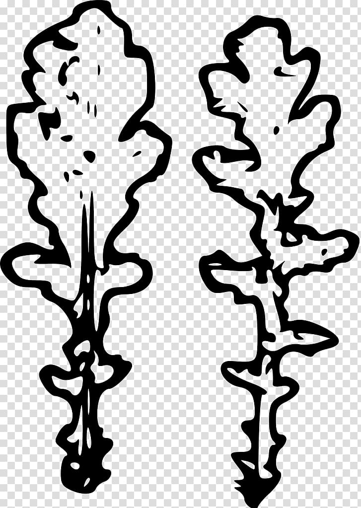 Plant stem Leaf Flower Line , leaf doodle transparent background PNG clipart