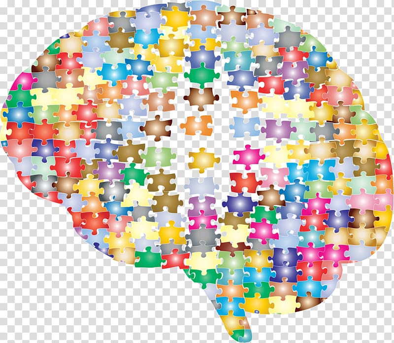Jigsaw Puzzles Brain mapping Cerebral cortex Human brain, connect transparent background PNG clipart