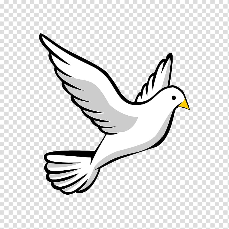 Columbidae Domestic pigeon Drawing , Dove s transparent background PNG clipart