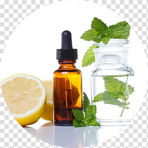 Essential oil Lemon balm Herbal distillate, herbal medicine transparent background PNG clipart