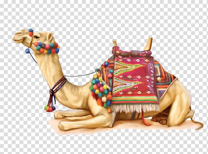 painted desert camel transparent background PNG clipart