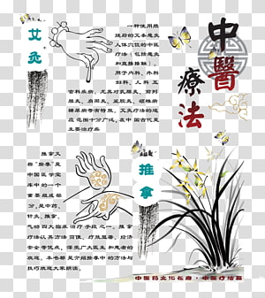 Acupuncture Transparent Background Png Cliparts Free Download