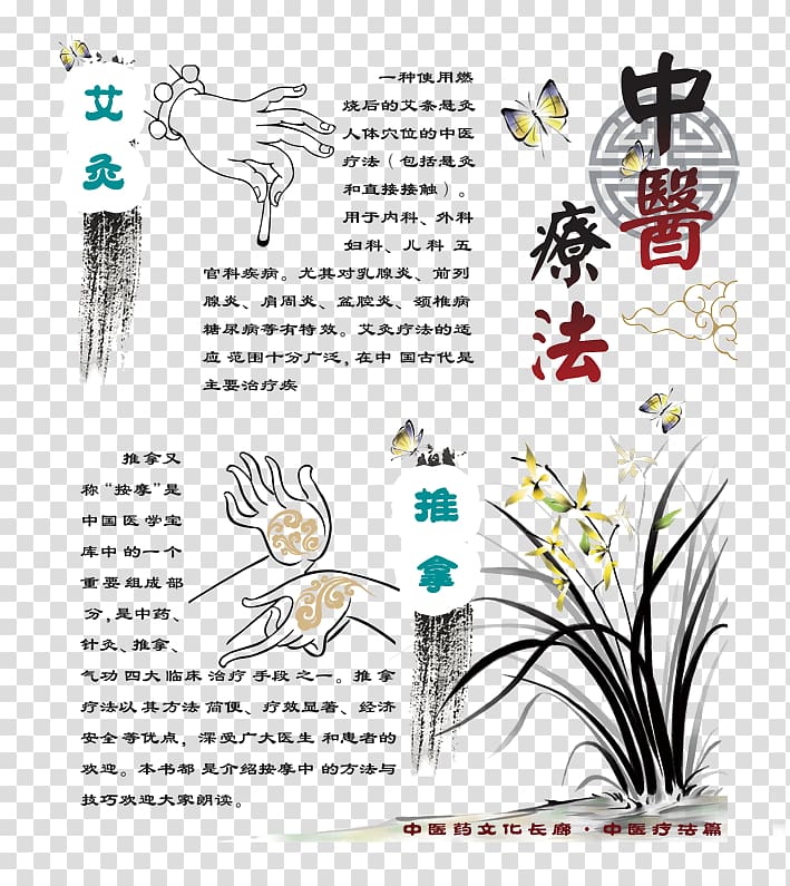 Traditional Chinese medicine Tui na Physical therapy Acupuncture, Massage acupuncture transparent background PNG clipart