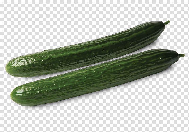 Pickled cucumber Vegetable Slicing cucumber Health, cucumber transparent background PNG clipart