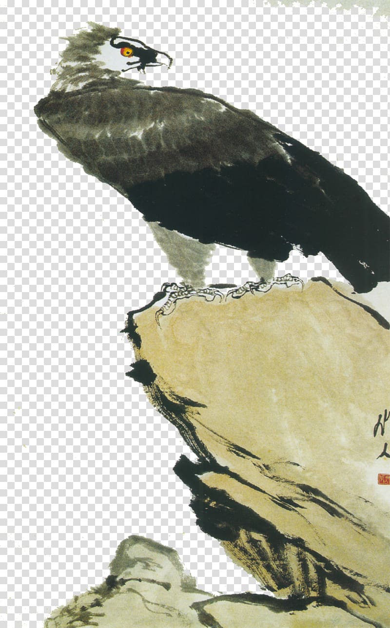 Chinese painting Bird-and-flower painting Ink wash painting, eagle transparent background PNG clipart