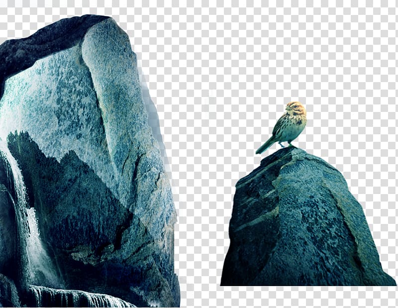 China Eurasian Magpie Bird, Blue-green stone bird material transparent background PNG clipart