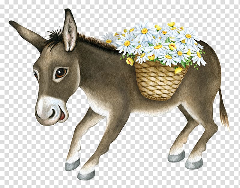 Little donkey transparent background PNG clipart