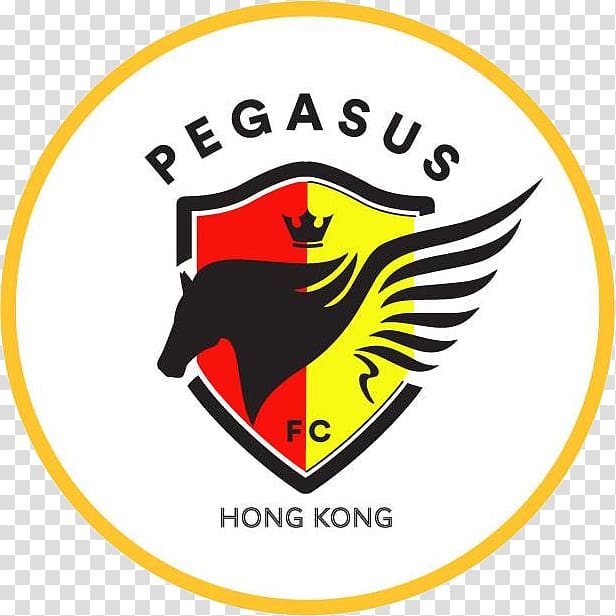 South China AA–Hong Kong Pegasus FC rivalry Hong Kong Premier League Tai Po FC, football transparent background PNG clipart