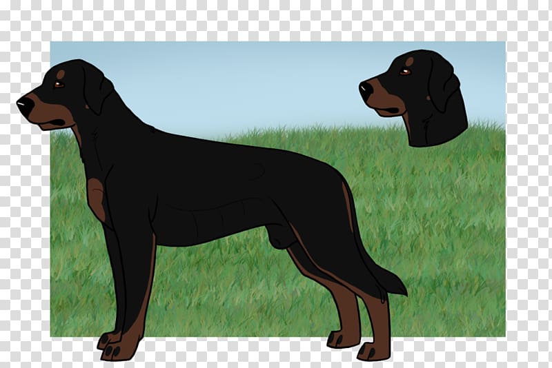 Black and Tan Coonhound Dog breed Austrian Black and Tan Hound Polish Hunting Dog Smaland Hound, others transparent background PNG clipart