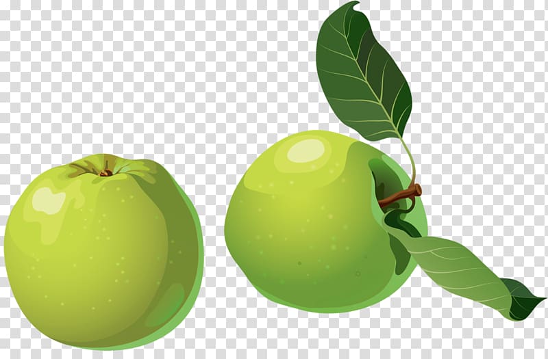 Granny Smith Apple Tomato, Two green apples transparent background PNG clipart