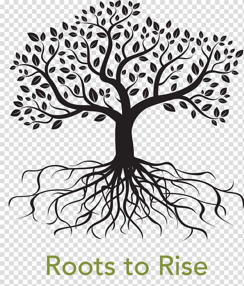root tree drawing root transparent background png clipart hiclipart root tree drawing root transparent