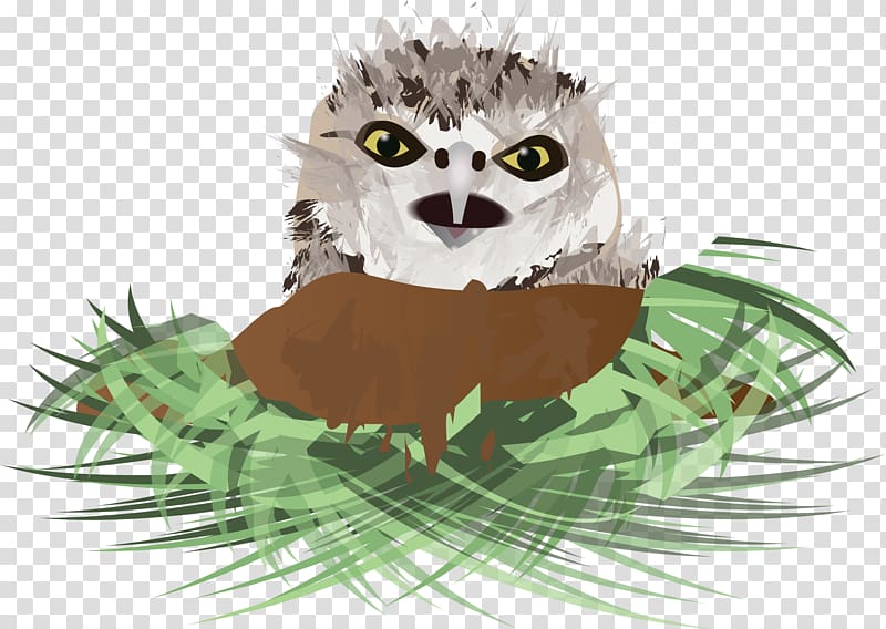 Burrowing owl , owl transparent background PNG clipart