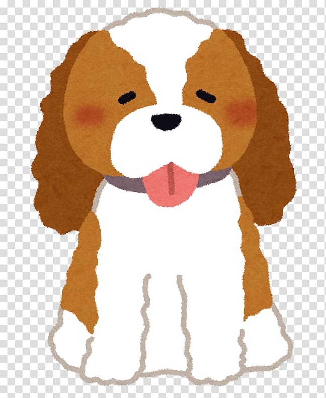 Cavalier King Charles Spaniel Puppy Dog breed, puppy transparent background PNG clipart