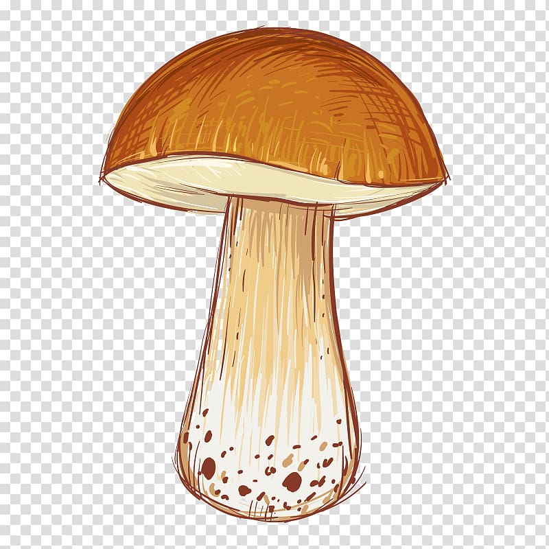 Cartoon Mushroom Illustration, mushroom transparent background PNG clipart