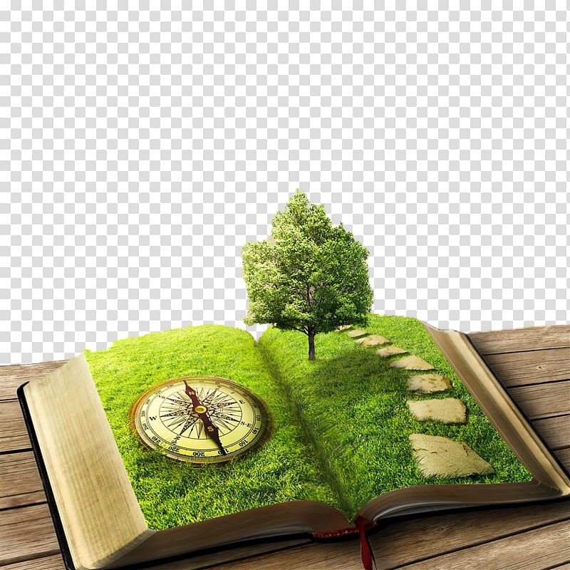 Sons and Lovers Book Tree, The book world transparent background PNG clipart
