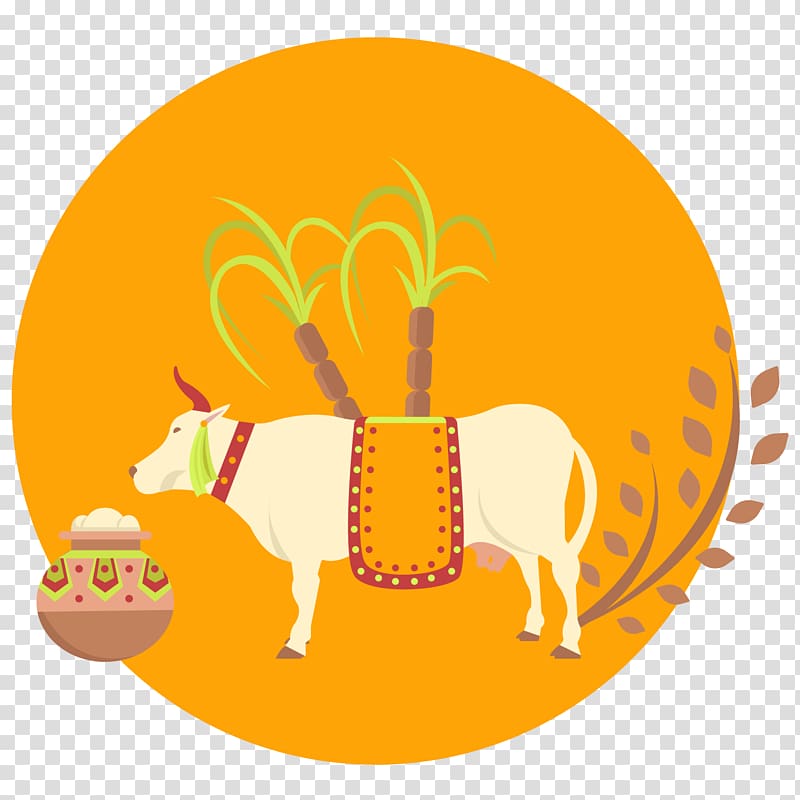 Thai Pongal Flat design Euclidean , cow and rice transparent background PNG clipart