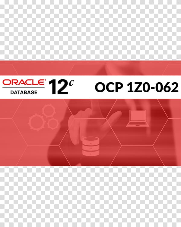Oracle Database Business Oracle Certification Program Oracle Corporation Information technology consulting, Business transparent background PNG clipart