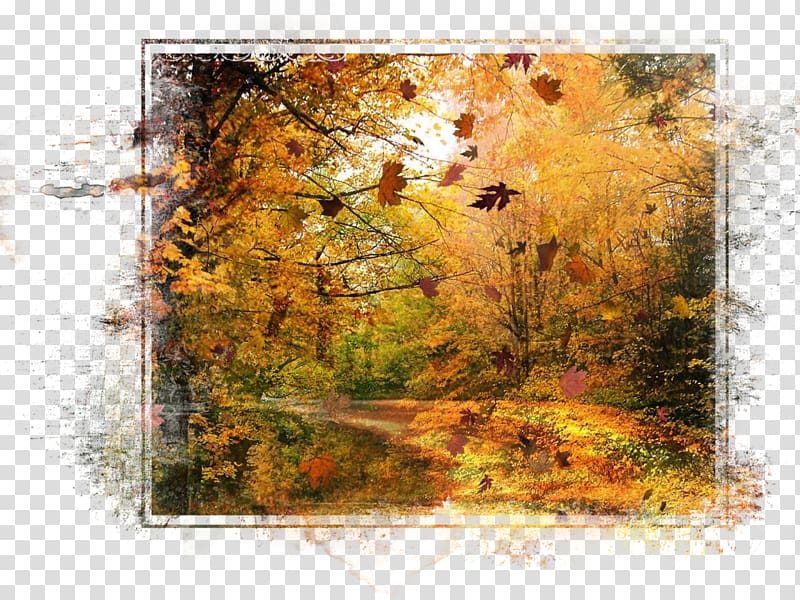 Desktop Autumn High-definition television Display resolution, autumn transparent background PNG clipart