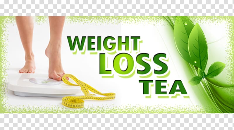 Tea Weight loss Health Fat Obesity, benefits of eating garlic transparent background PNG clipart