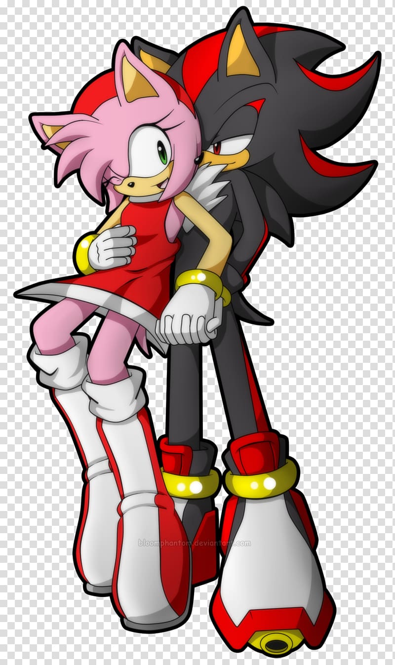 Amy Rose Ariciul Sonic Shadow the Hedgehog Sonic Dash 2: Sonic