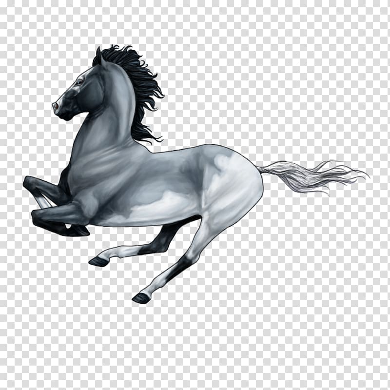 Mane Mustang Stallion Pony Halter, bullet train transparent background PNG clipart