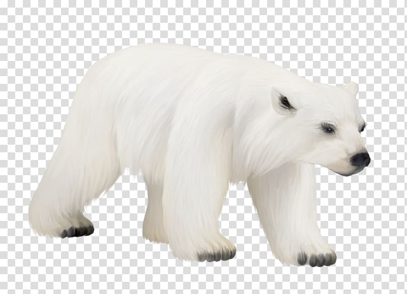 Polar bear American black bear Portable Network Graphics, polar bear transparent background PNG clipart