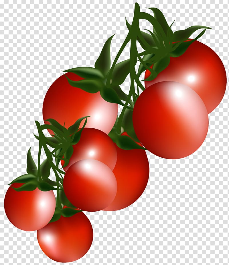 red cherry victor art, Vegetable , Tomatoes Branch transparent background PNG clipart