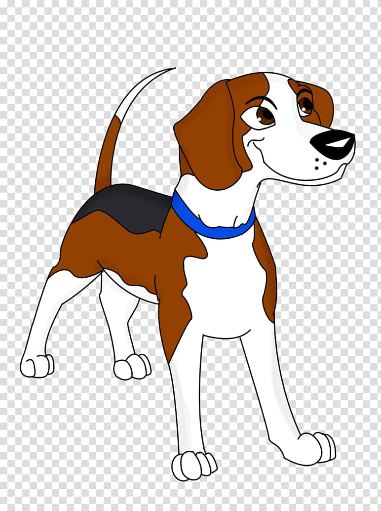 Beagle English Foxhound American Foxhound Harrier Treeing Walker Coonhound, puppy transparent background PNG clipart