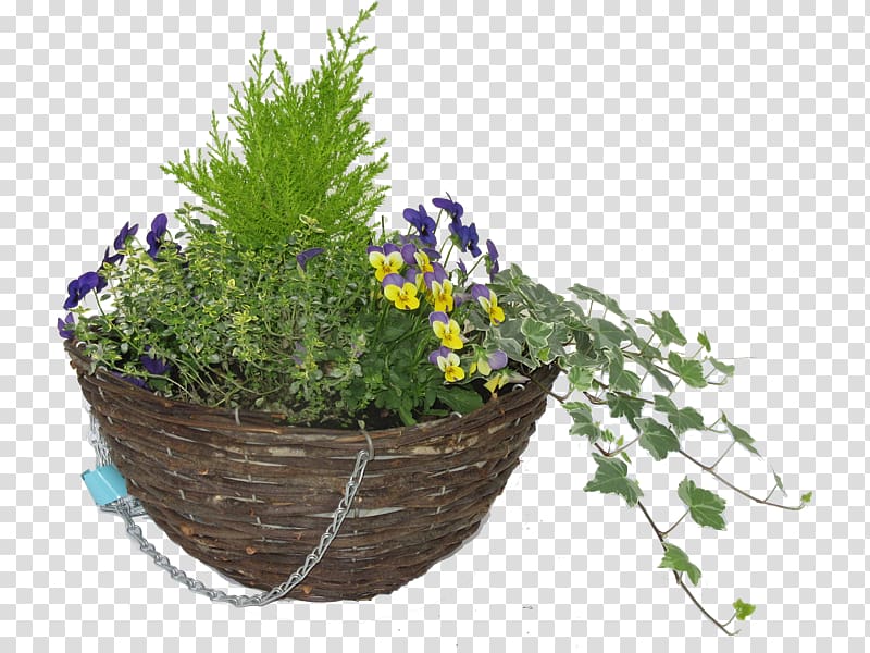 Hare Hatch Sheeplands Garden Flowerpot Nursery Hanging basket, Hanging Basket transparent background PNG clipart