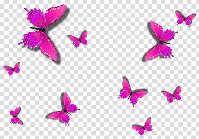 Butterfly Painting Wall decal, pink carpet transparent background PNG clipart