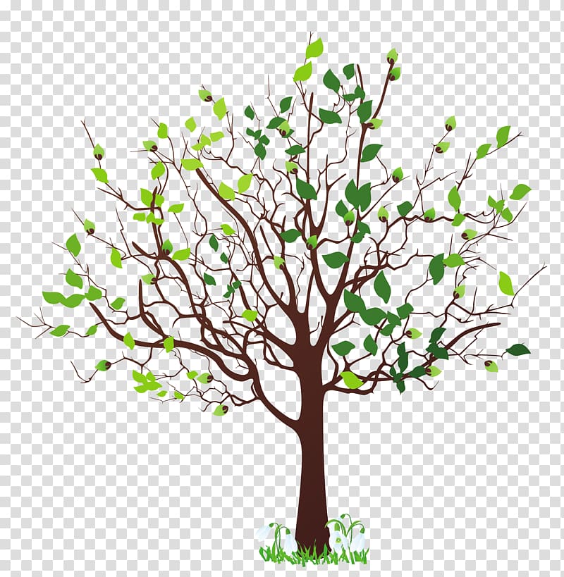 Tree , brown Branch transparent background PNG clipart