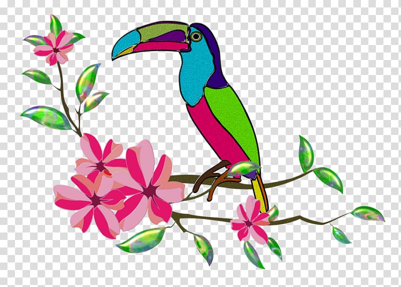 Beak Toucan Drawing , toucan transparent background PNG clipart