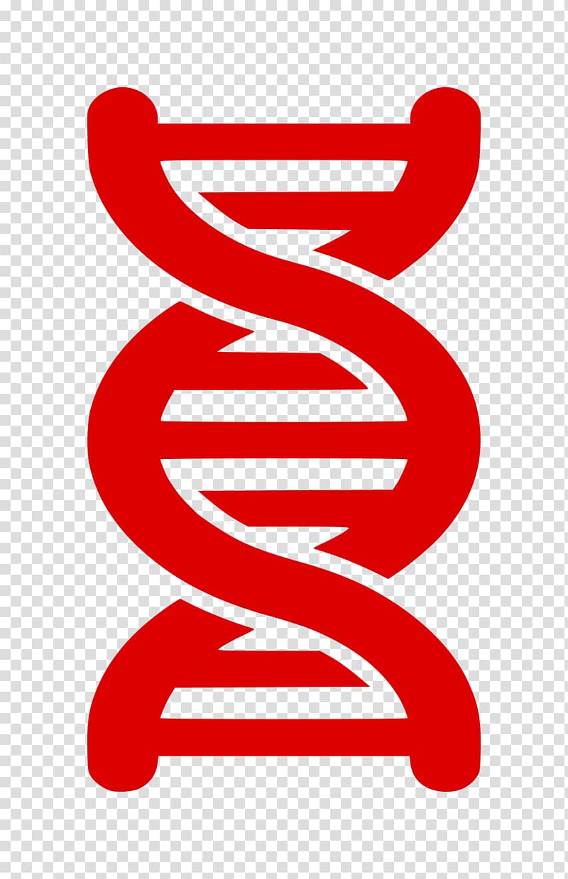 DNA Nucleic acid double helix Computer Icons Black and white , DNA transparent background PNG clipart