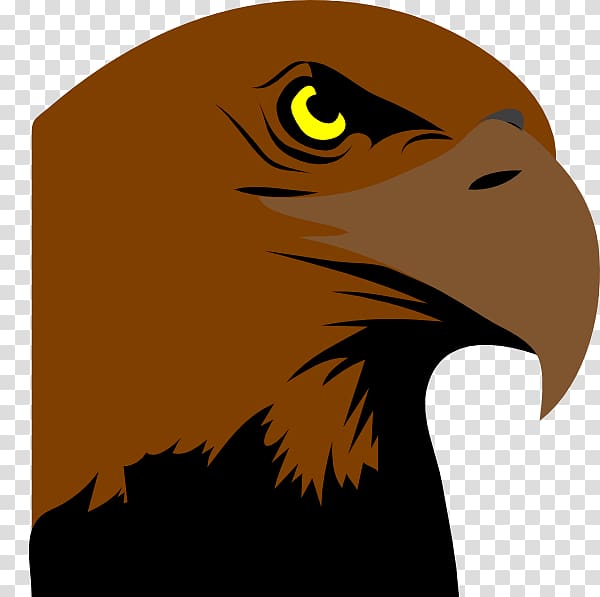 brown bird , Philadelphia Eagles Bird Logo , Logo Kepala Rajawali transparent background PNG clipart