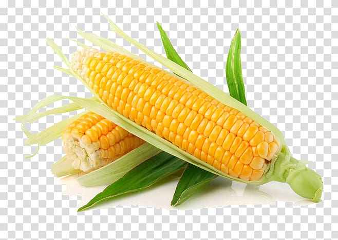 corn cobs , Corn on the cob Candy corn Waxy corn Vegetable Sweet corn, corn transparent background PNG clipart
