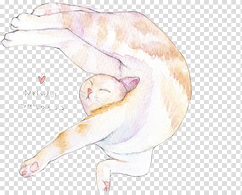 Cat Carnivora Illustration, Cute watercolor cat shape transparent background PNG clipart