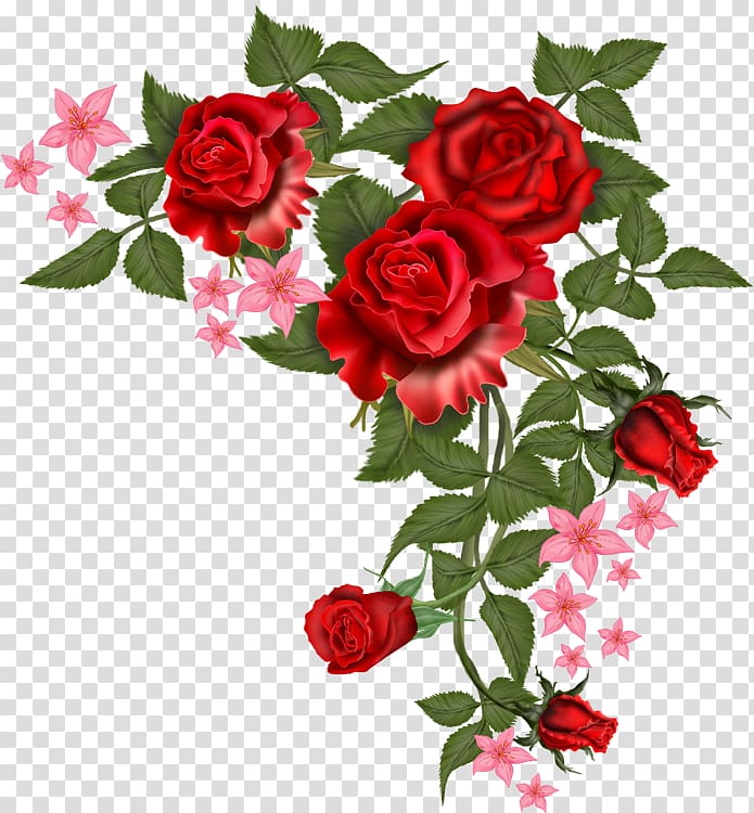 red rose flowers illustration, Love Romance Song YouTube Long-distance relationship, rose transparent background PNG clipart