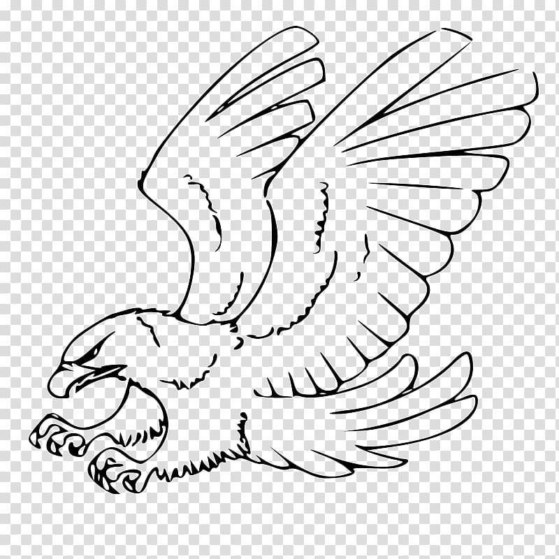 Drawing Bald Eagle Sketch, eagle transparent background PNG clipart