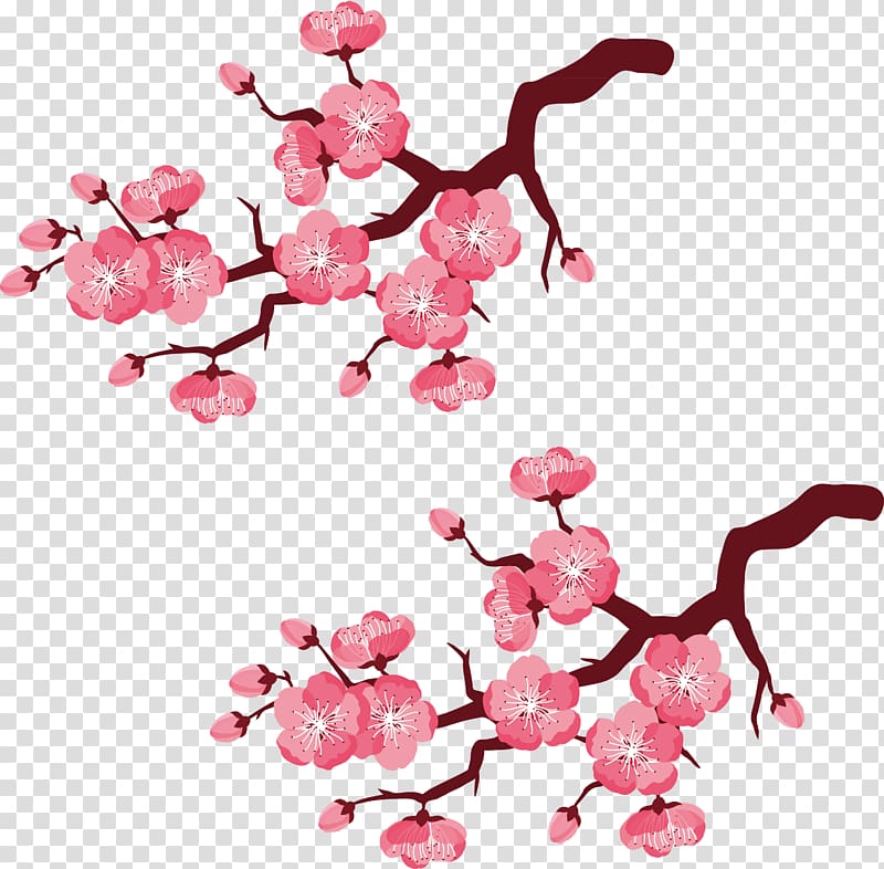 pink flower plants, Cherry blossom Branch Illustration, Cherry decorated branches hand-painted transparent background PNG clipart