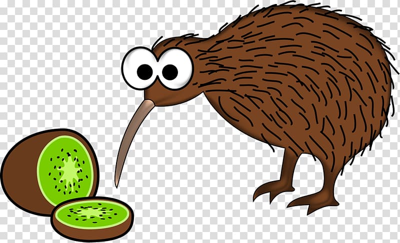 New Zealand Bird Little spotted kiwi Common ostrich, Bird transparent background PNG clipart