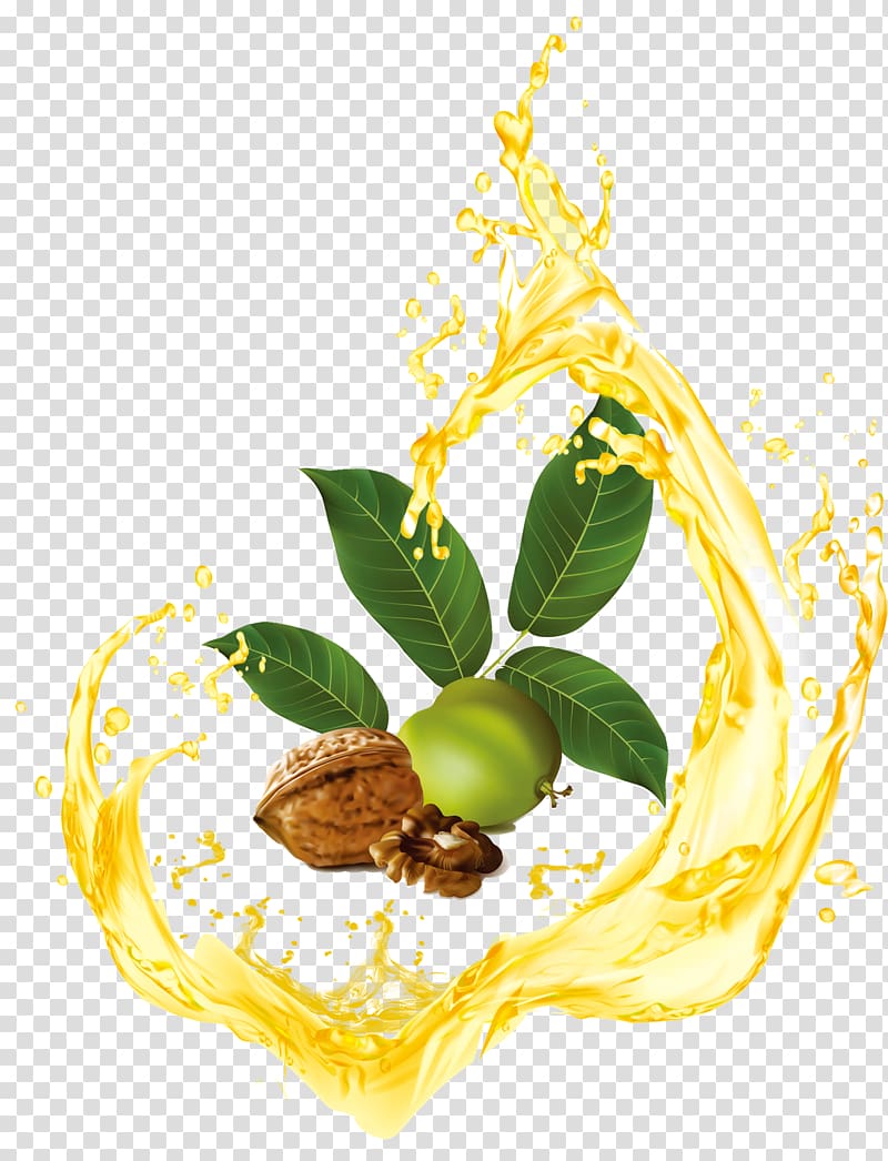 Eastern black walnut , It is surrounded by walnut oil transparent background PNG clipart