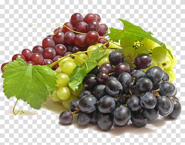 Wine Common Grape Vine Fruit, wine transparent background PNG clipart