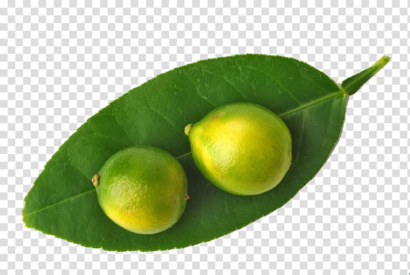 Lemon Key lime Juice Persian lime, Kumquat lemon HQ transparent background PNG clipart