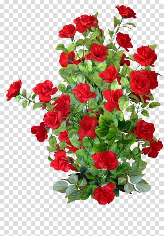 red rose bushes transparent background PNG clipart