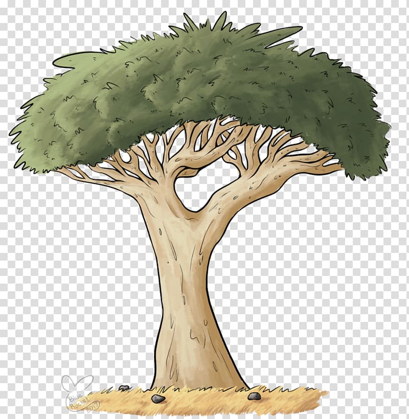 Fruit tree Flowerpot Plants Plant stem, dragon blood tree transparent background PNG clipart