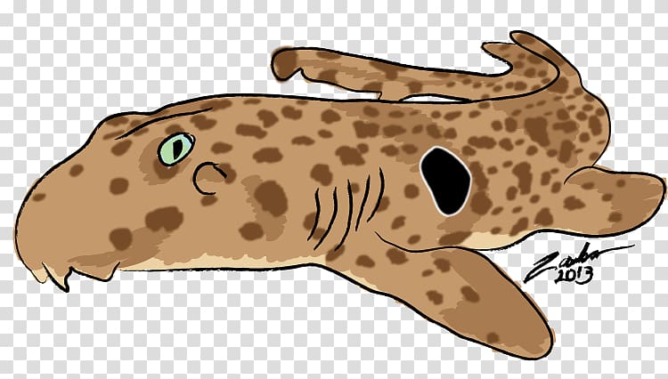 Epaulette shark Fish Cat Animal, Shark Week transparent background PNG clipart