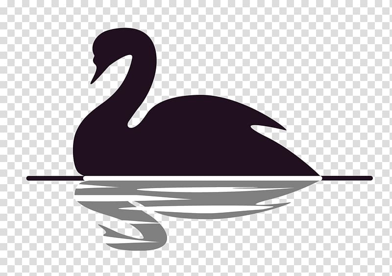 The Black Swan: The Impact of the Highly Improbable Black swan theory Vedanta , others transparent background PNG clipart