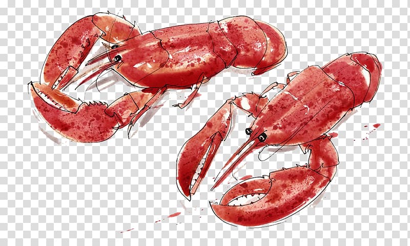 Homarus Panulirus Squat lobster Food , Two lobster hand painted transparent background PNG clipart